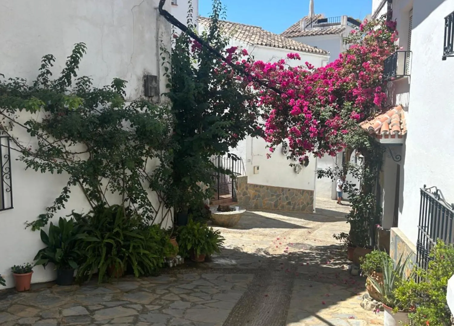 Tierra Nueva Healing Center Villa Torre de Benagalbon